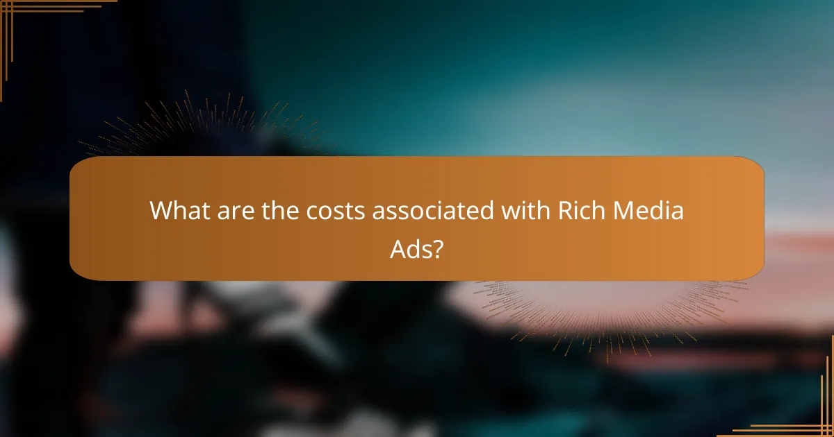What are the costs associated with Rich Media Ads?