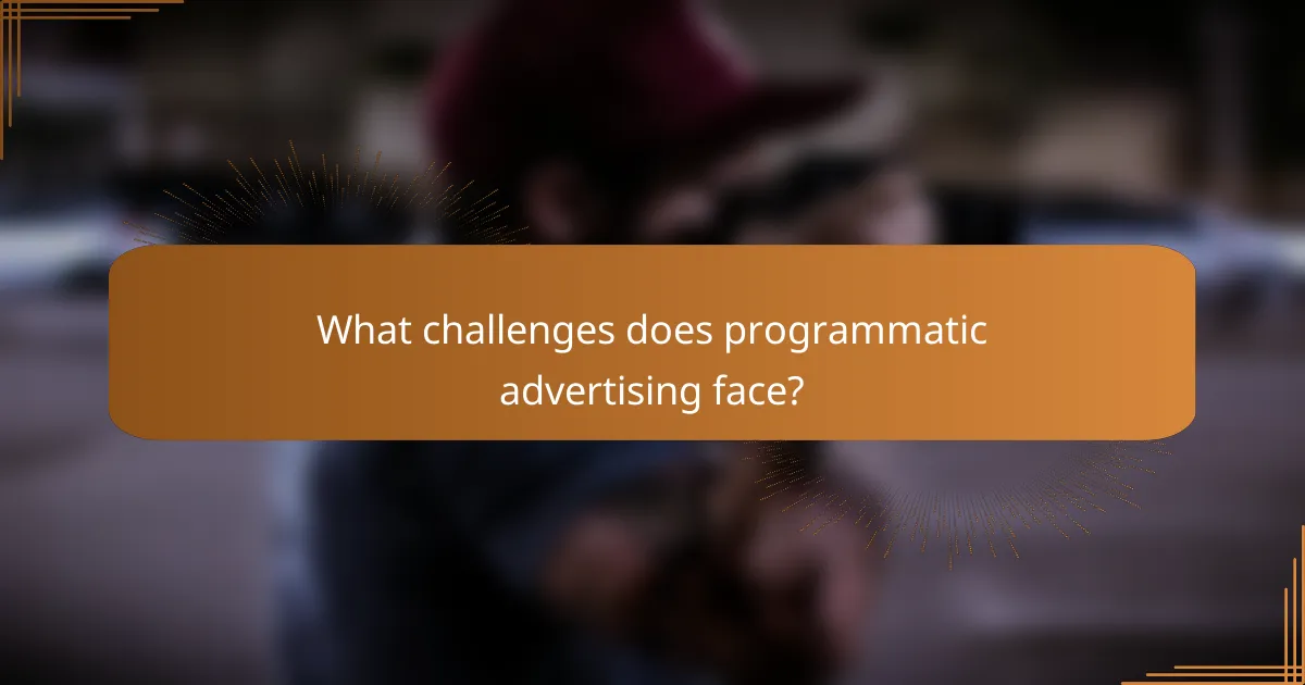 What challenges does programmatic advertising face?