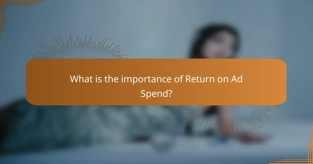 What is the importance of Return on Ad Spend?